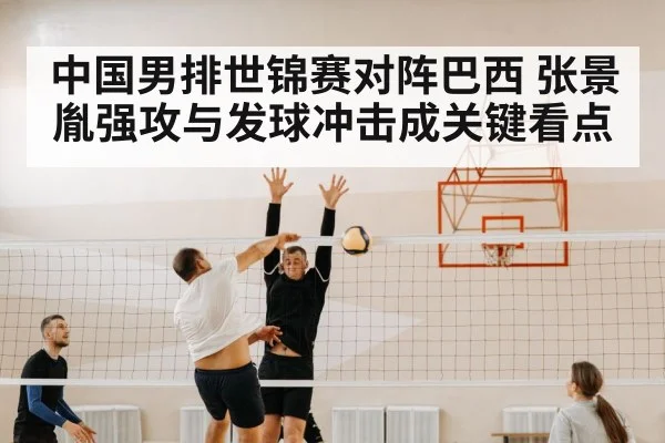 volleyball net block defense
